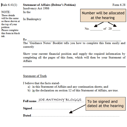bankruptcy petition form for
